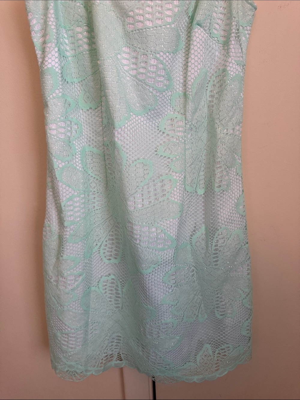 Lilly Pulitzer Mint Green Lace Sleeveless Mini Dress - Picture 3 of 9